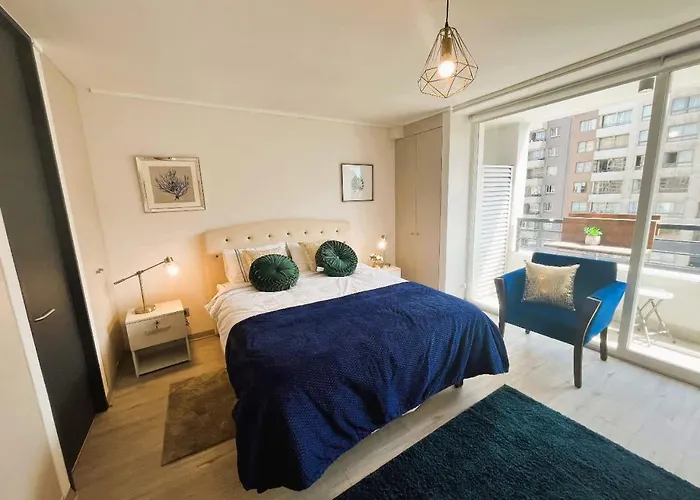Hom Exquisito Y Comodo Depto 1D1B 2Pax Santiago